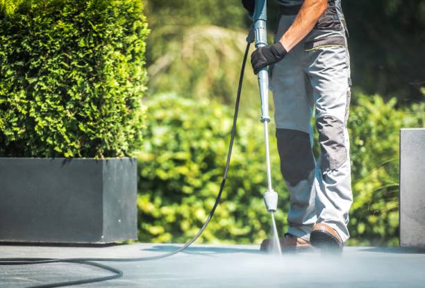Best Fence Cleaning and Maintenance in Winthrop, MN