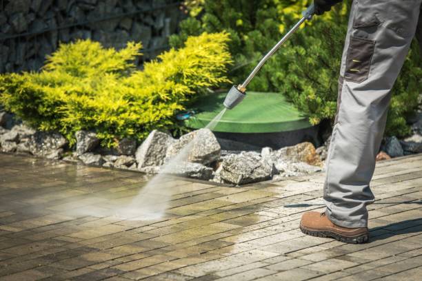 Best Pool Deck Cleaning in Winthrop, MN